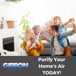 happy family in home celebrating that their home has clean air thanks to Gibbon Heating and Air Conditioning